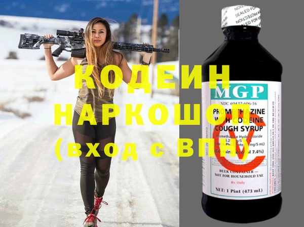 мдпв Инта
